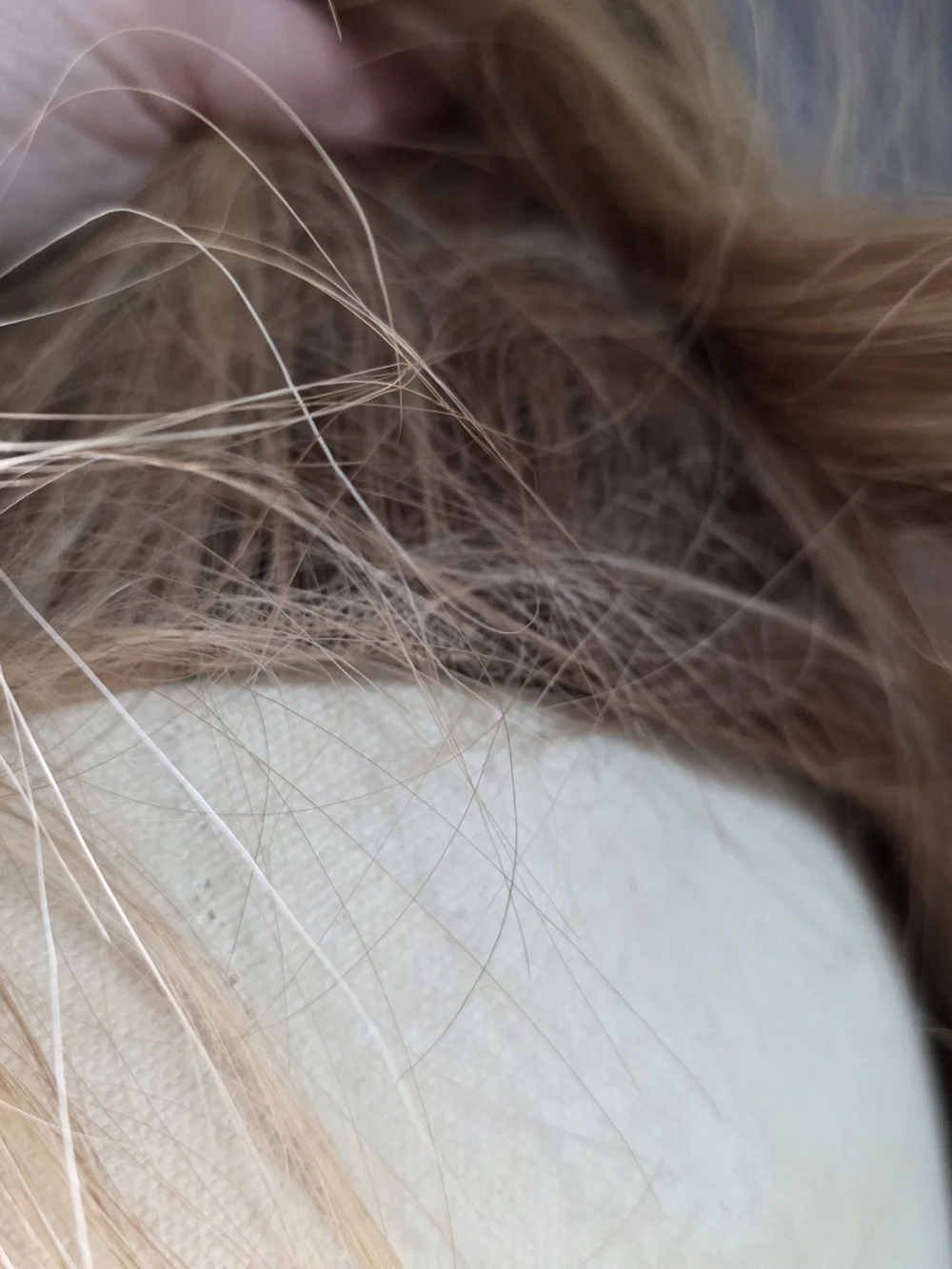 Perfectly You Lace Top Human Hair Wig